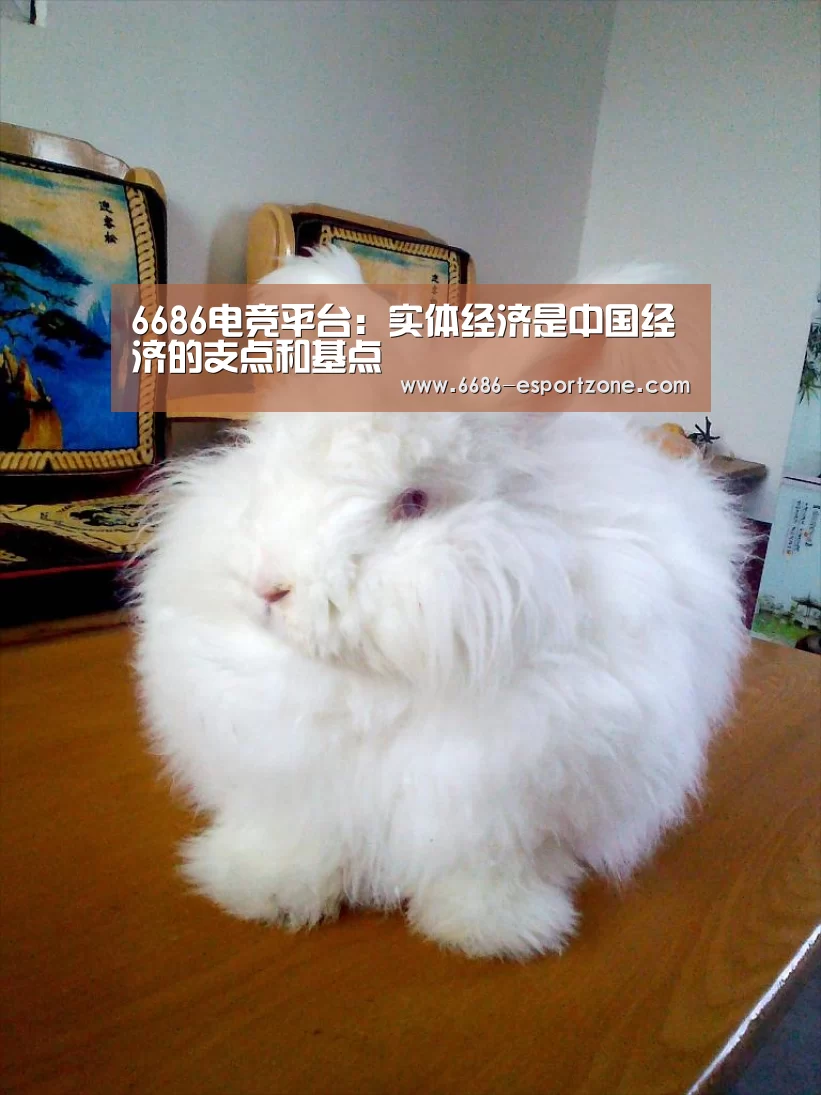 6686电竞平台:实体经济是中国经济的支点和基点(图3) 6686电竞竞猜