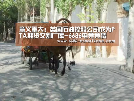 意义重大!英国石油控股公司成为PTA期货交割厂库-6686电竞竞猜(图2) 6686电竞平台